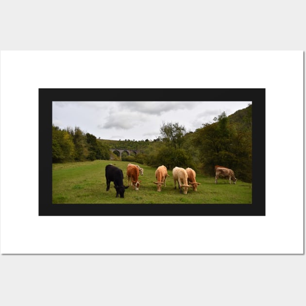 Headstone Viaduct  Monsal Dale Wall Art by Graz-Photos